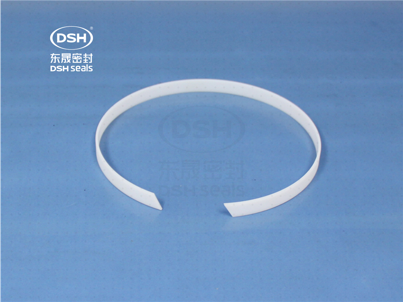 食品級密封件,導(dǎo)向環(huán)DST